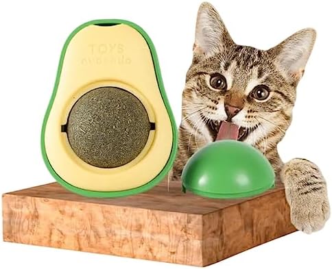 Abacate Catnip - tanamão