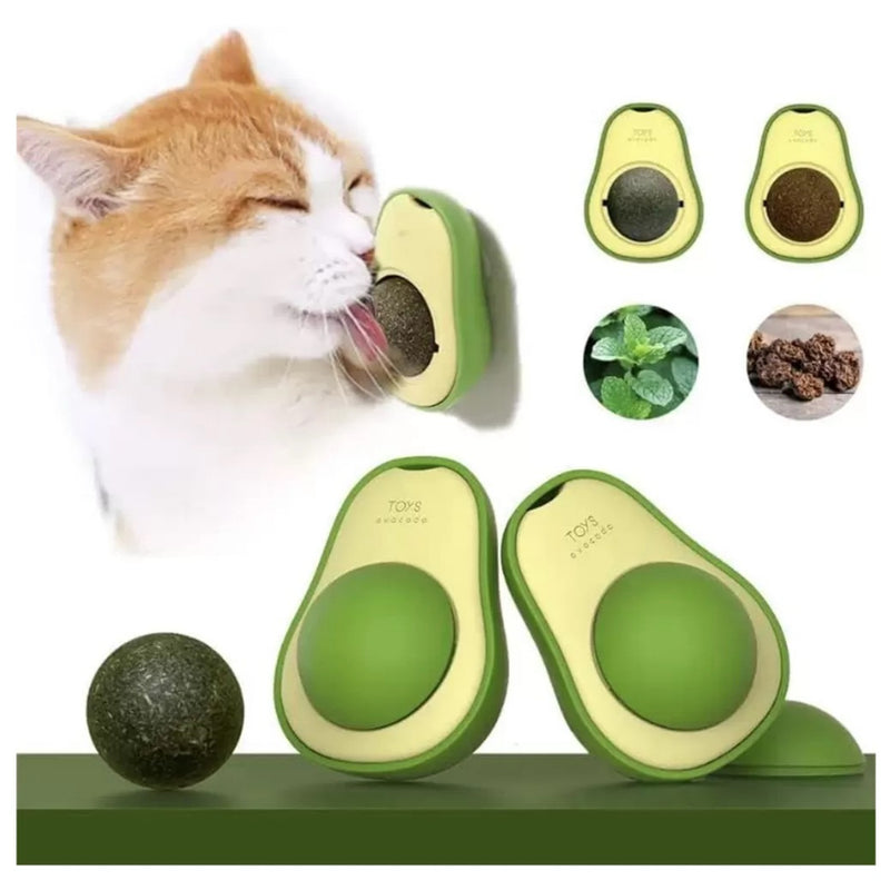Abacate Catnip - tanamão