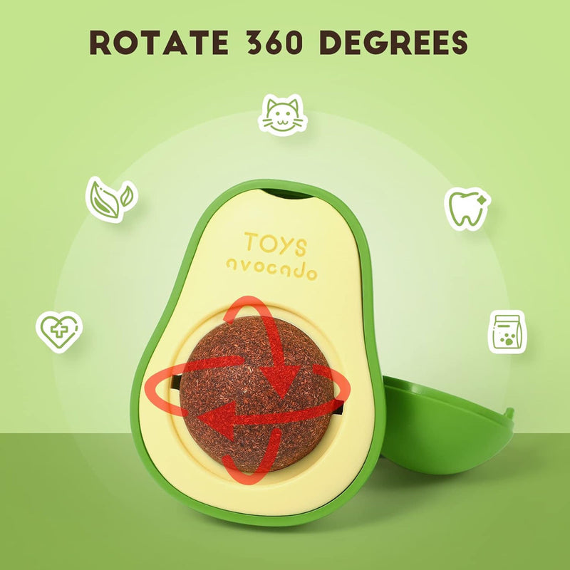 Abacate Catnip - tanamão